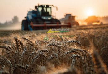 Плющилки с элеватором для плющения и хранения зерна купить